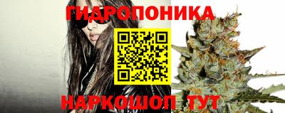 спиды Лесосибирск