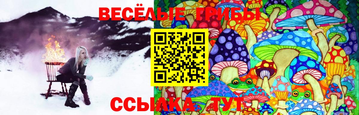 Галлюциногенные грибы Cubensis  Вход с VPN  Узловая  Галлюциногенные грибы Magic Shrooms 